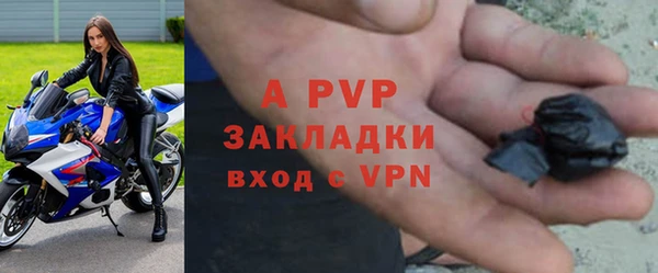 хмурый Бородино