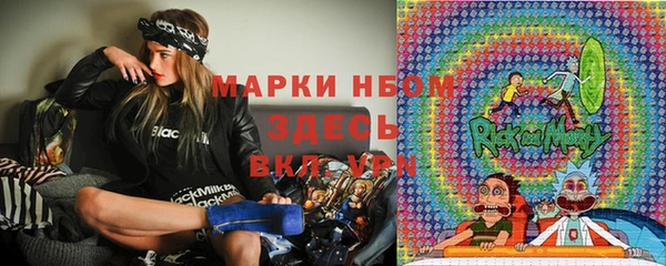 хмурый Бородино