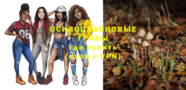 дмт Бронницы