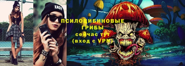 хмурый Бородино