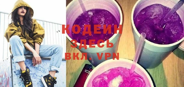хмурый Бородино