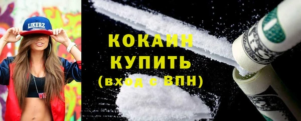 хмурый Бородино