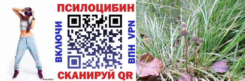 Купить где  Топки  Галлюциногенные грибы мицелий 
