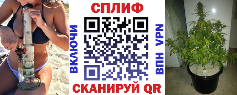 Купить  Топки  Бошки Шишки индика 
